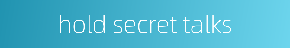 hold secret talks的同义词