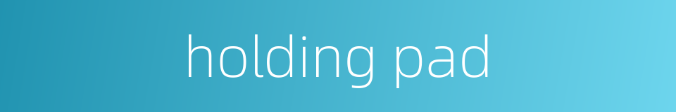holding pad的同义词