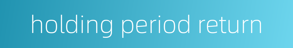 holding period return的同义词