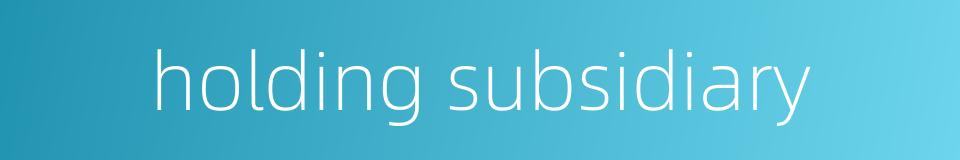 holding subsidiary的同义词