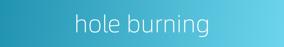 hole burning的同义词