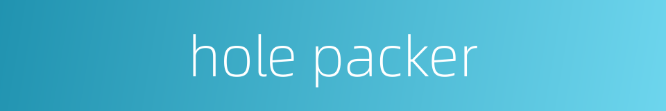 hole packer的同义词