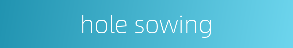 hole sowing的同义词