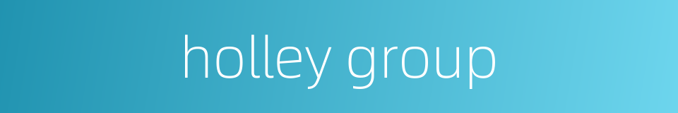 holley group的同义词