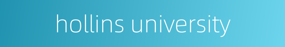 hollins university的同义词