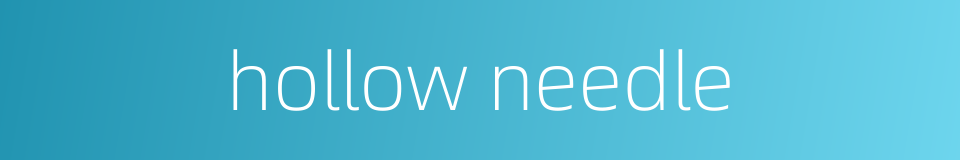hollow needle的同义词
