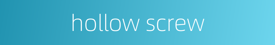 hollow screw的同义词