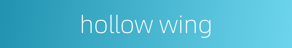 hollow wing的同义词