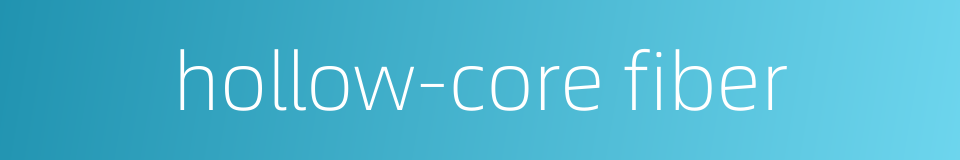 hollow-core fiber的同义词