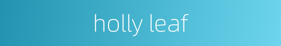 holly leaf的同义词