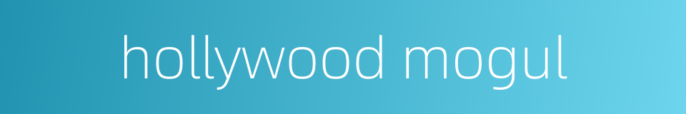 hollywood mogul的同义词