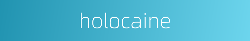 holocaine的同义词