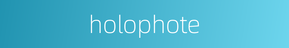 holophote的同义词