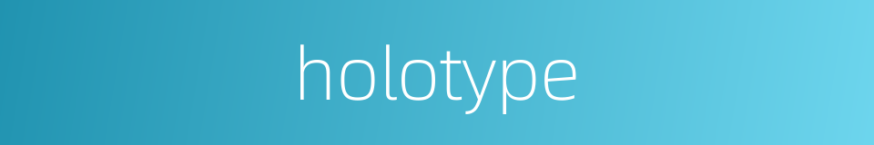 holotype的同义词