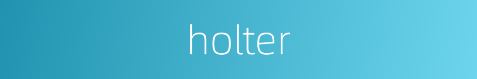 holter的同义词