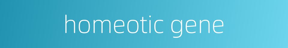 homeotic gene的同义词