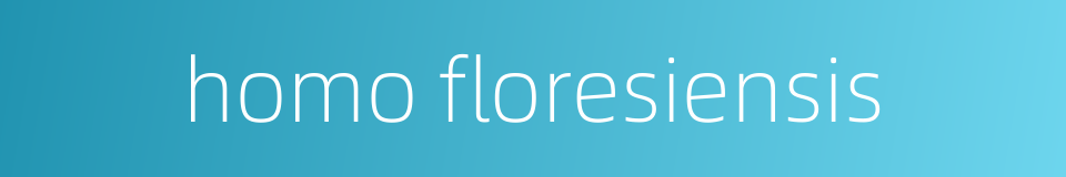 homo floresiensis的同义词