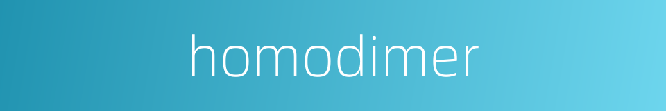 homodimer的同义词