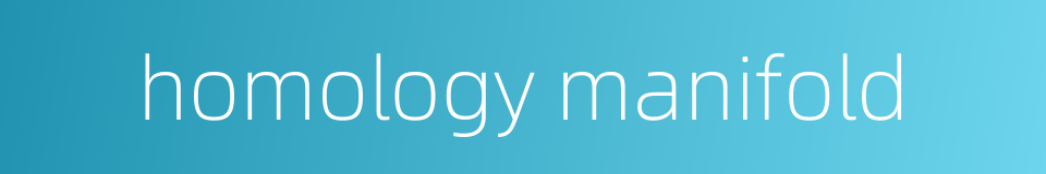 homology manifold的同义词