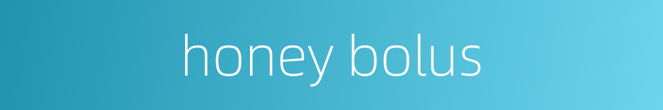 honey bolus的同义词