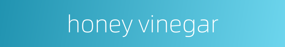 honey vinegar的同义词