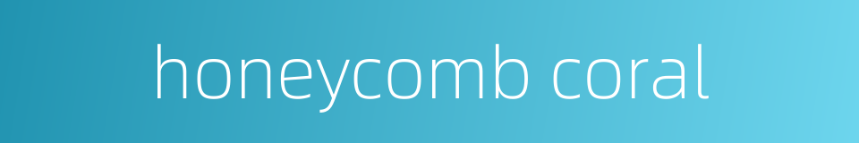 honeycomb coral的同义词