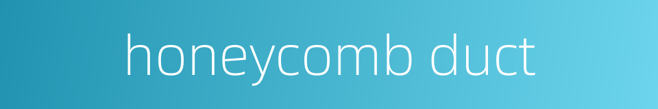 honeycomb duct的同义词
