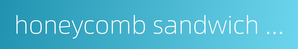 honeycomb sandwich construction的同义词