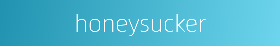 honeysucker的同义词