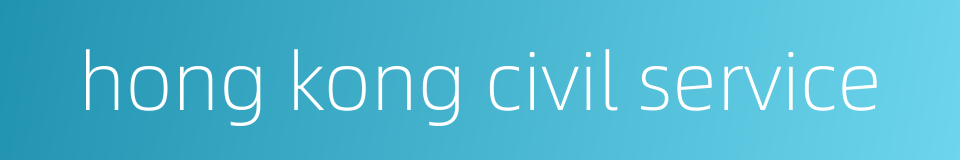 hong kong civil service的同义词