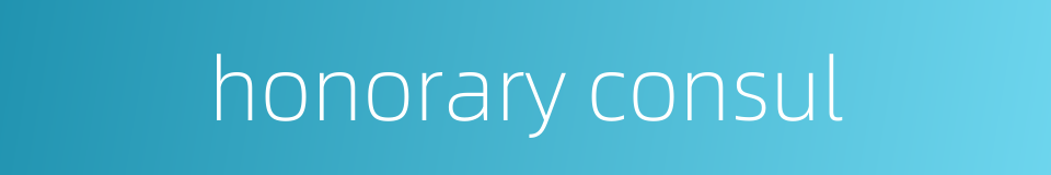 honorary consul的同义词