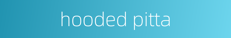 hooded pitta的同义词