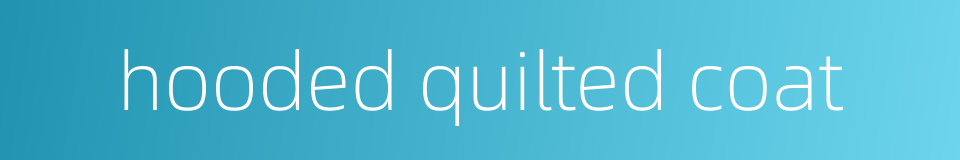 hooded quilted coat的同义词