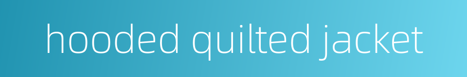 hooded quilted jacket的同义词