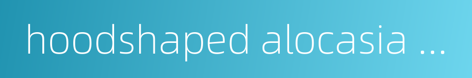 hoodshaped alocasia rhizome的同义词