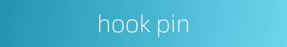 hook pin的同义词