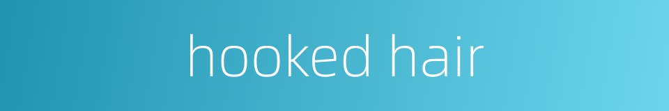 hooked hair的同义词