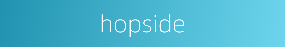 hopside的同义词