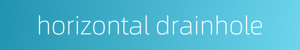 horizontal drainhole的同义词