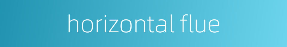 horizontal flue的同义词