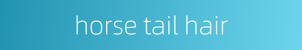 horse tail hair的同义词