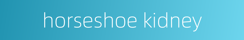horseshoe kidney的同义词