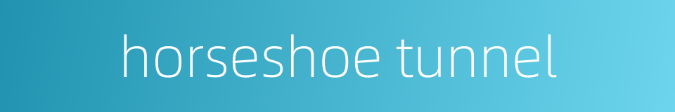 horseshoe tunnel的同义词