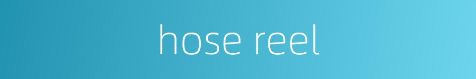 hose reel的同义词