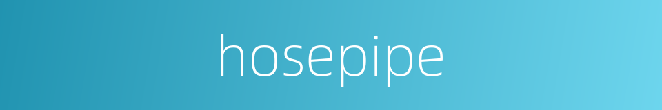 hosepipe的同义词