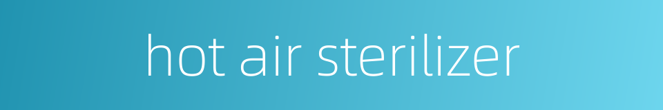 hot air sterilizer的同义词