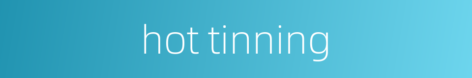 hot tinning的同义词