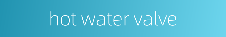 hot water valve的同义词