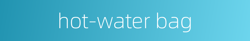 hot-water bag的同义词