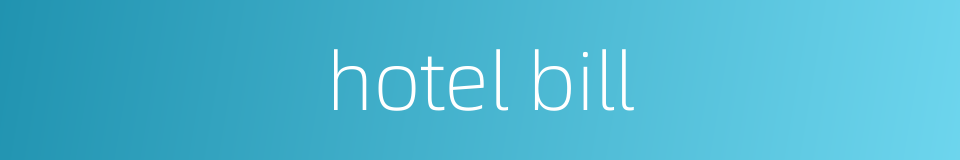 hotel bill的同义词